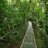 COSTA RICA EXPLORER